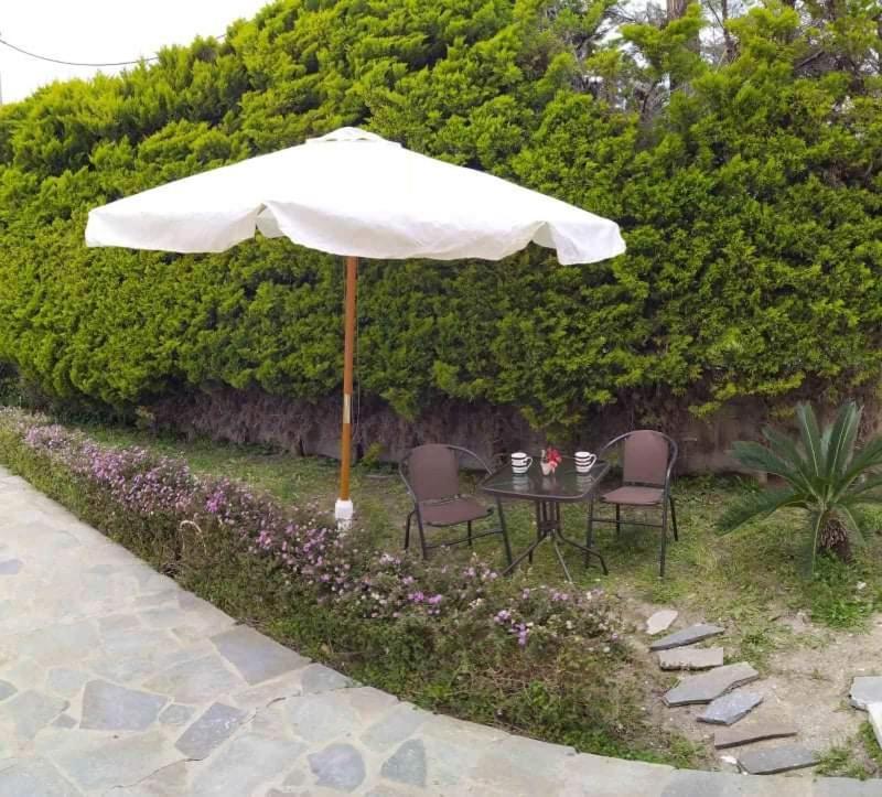 Villa Katerina イアリソス エクステリア 写真